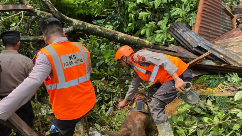 Brimob Bergerak Bantu Evakuasi Korban Banjir dan Longsor di Jateng